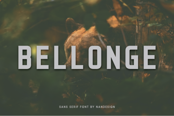 Bellonge: The Minimal Sans Serif Font for Scroll-Stopping Marketing