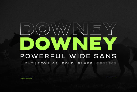 Downey Font Review: A Bold Sans Serif for Web Headers