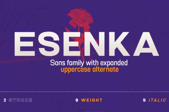 Esenka: The Modern Sans Serif Font That Elevates Small Business Branding