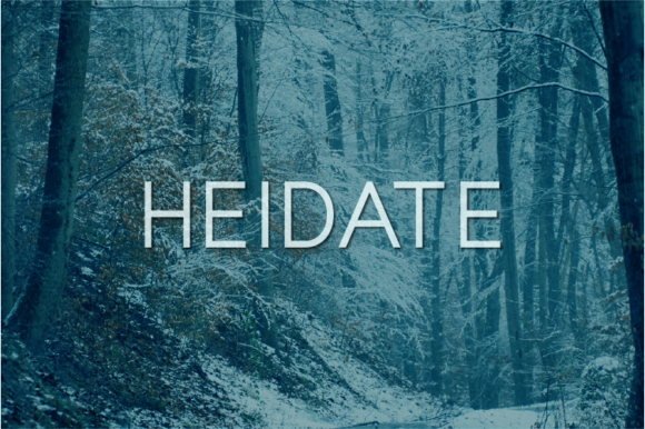Heidate: A Clean Sans Serif Font for Makers