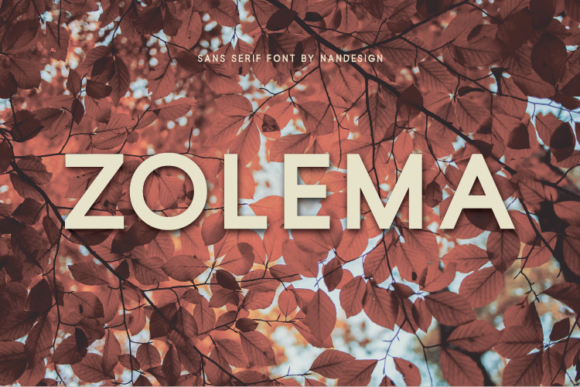 Zolema: A Clean Sans Serif Font for Handmade Brands